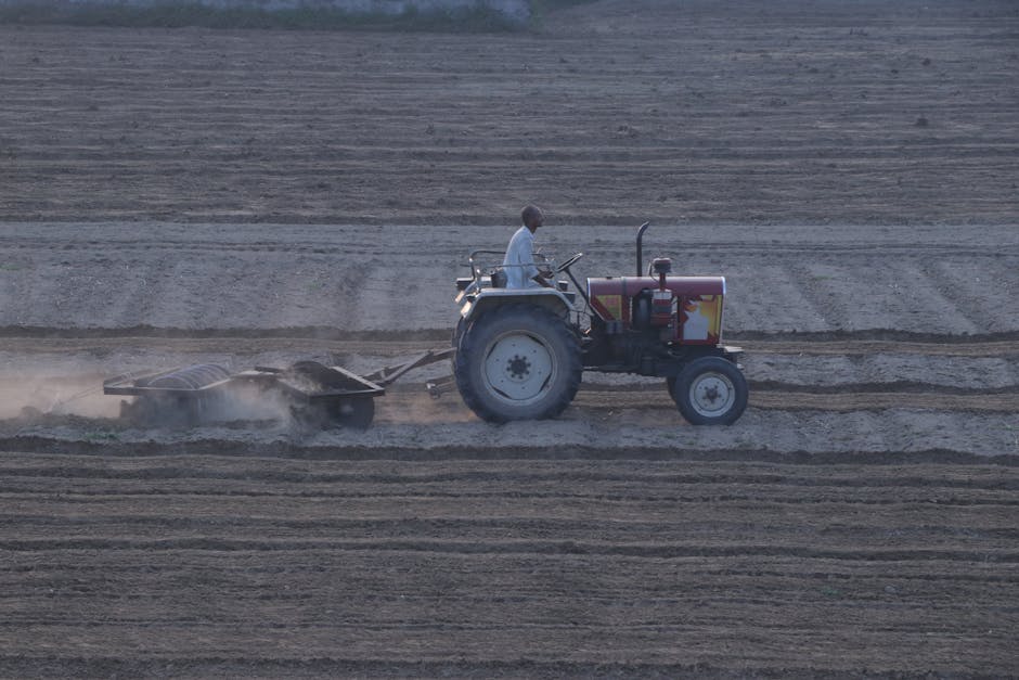 A man operating a tractor on a large, flat, open field with evenly spaced furrows, likely preparing the soil or land. The tractor is equipped with a large rear wheel, a smaller front wheel, and a red and black engine cover. Dust is being kicked up behind the tractor as it moves along, and the driver is seated on a platform, wearing a white shirt. The background shows distant land with no other vehicles or structures visible, indicating an agricultural or rural environment. This image is related to the process of land preparation for construction or development, mirroring aspects of home relocation planning and logistical movements involved in house removals, as managed by companies like Movers Harrow.
